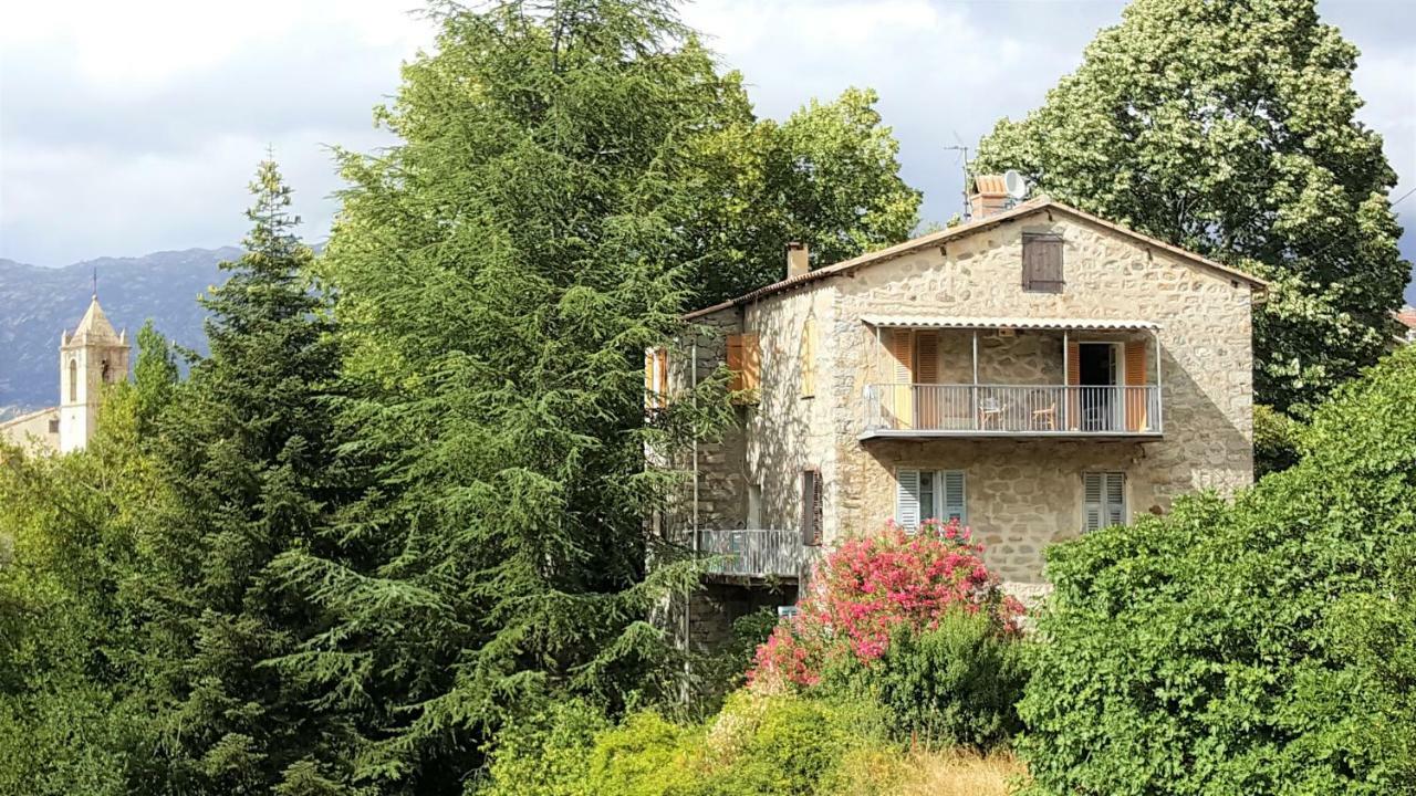 Housica & Co. Apartment Ucciani Bagian luar foto